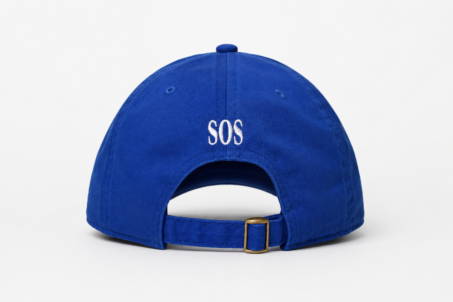 Sink or Swim Dad Hat