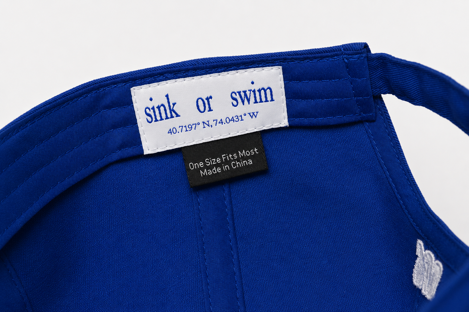 Sink or Swim Dad Hat