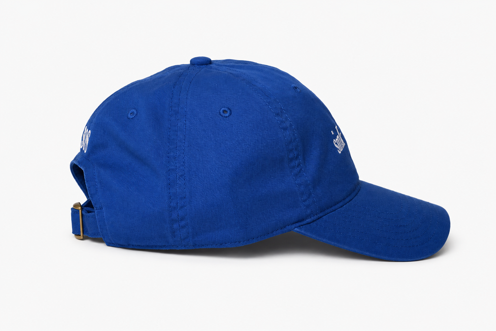 Sink or Swim Dad Hat